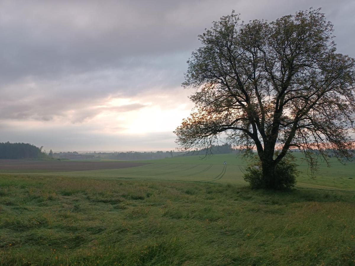 Bio Kinder Erlebnis Bauernhof Voit Guest House Sochtenau Luaran gambar